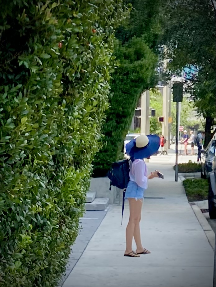 Close-up of a woman's feet wearing stylish, comfortable leather sandals on a tiled patio in Miami with palm trees in the background.